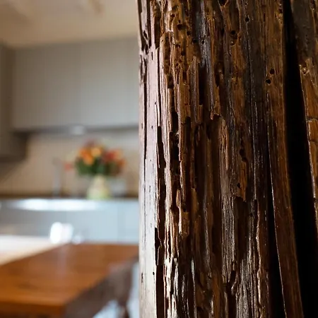 Podere Il Quadro Σπίτι διακοπών